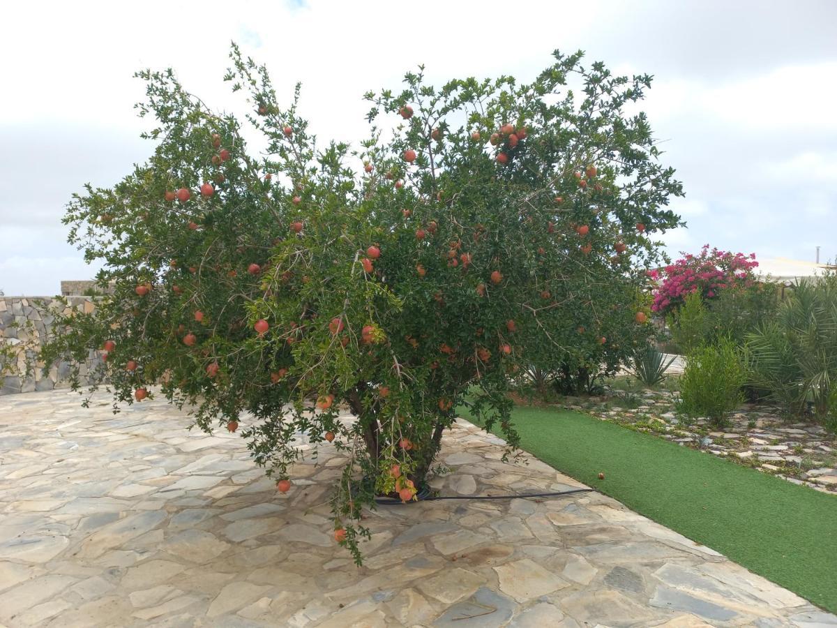 Jebel Shams Resort منتجع جبل شمس Dar Sawda Bagian luar foto